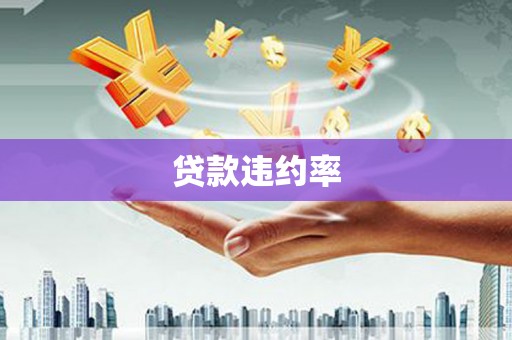 布袋贷款违约率