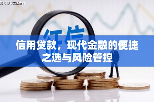 布袋信用贷款，现代金融的便捷之选与风险管控