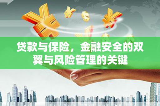 布袋贷款与保险，金融安全的双翼与风险管理的关键