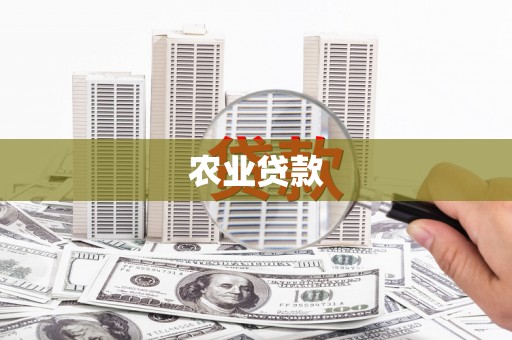 布袋农业贷款