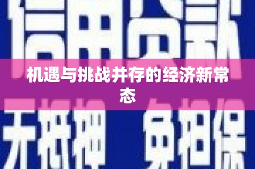 布袋机遇与挑战并存的经济新常态