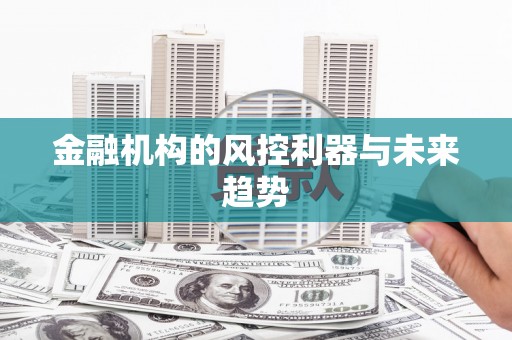 布袋金融机构的风控利器与未来趋势