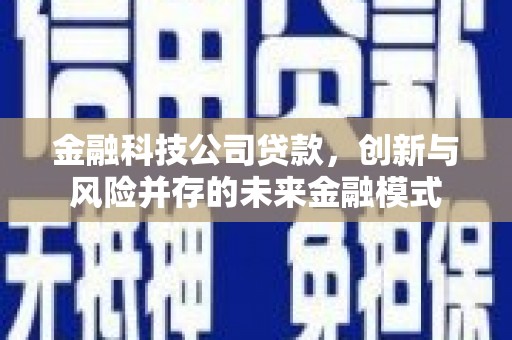 布袋金融科技公司贷款，创新与风险并存的未来金融模式