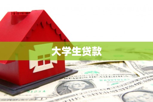 布袋大学生贷款