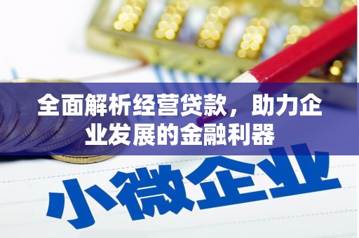 布袋全面解析经营贷款，助力企业发展的金融利器