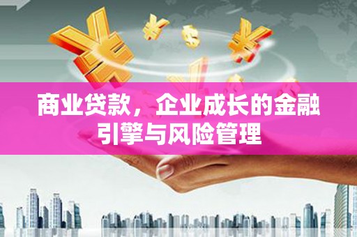 布袋商业贷款，企业成长的金融引擎与风险管理