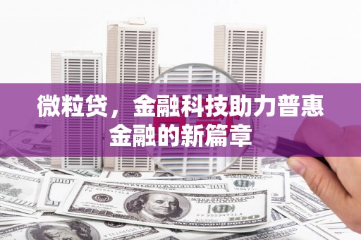 布袋微粒贷，金融科技助力普惠金融的新篇章