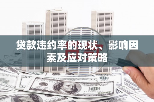 布袋贷款违约率的现状、影响因素及应对策略