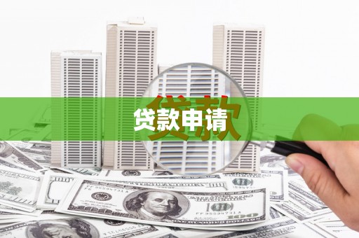 布袋贷款申请