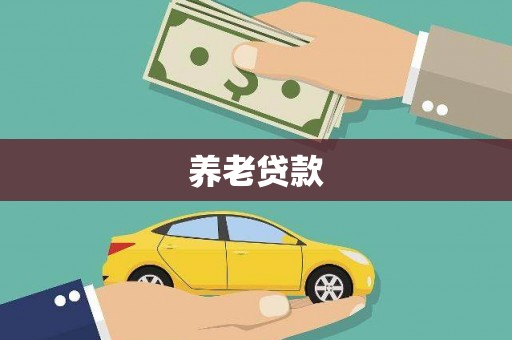 布袋养老贷款