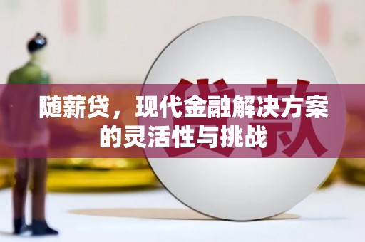 布袋随薪贷，现代金融解决方案的灵活性与挑战