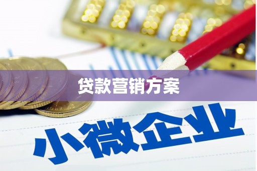 布袋贷款营销方案