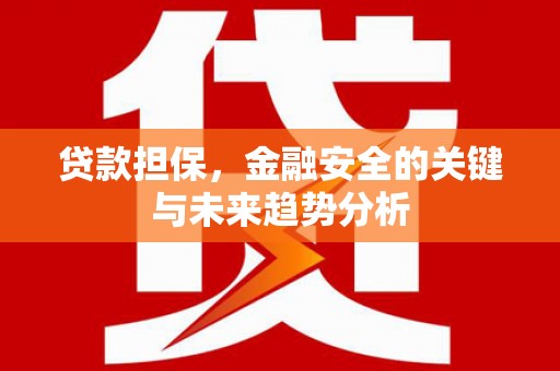 布袋贷款担保，金融安全的关键与未来趋势分析