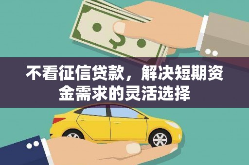 布袋不看征信贷款，解决短期资金需求的灵活选择