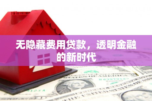 布袋无隐藏费用贷款，透明金融的新时代