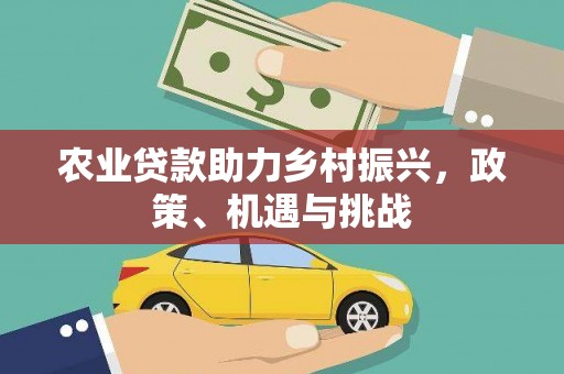 布袋农业贷款助力乡村振兴，政策、机遇与挑战