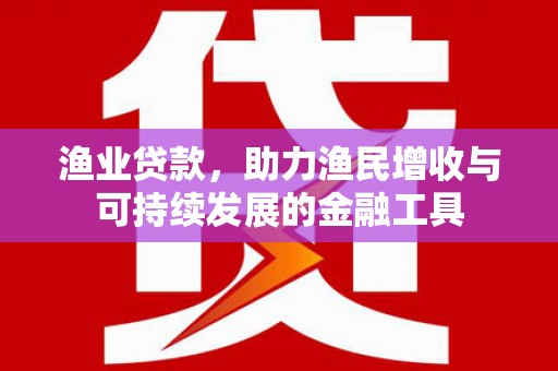 布袋渔业贷款，助力渔民增收与可持续发展的金融工具
