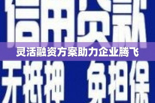 布袋灵活融资方案助力企业腾飞