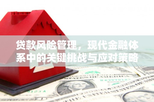 布袋贷款风险管理，现代金融体系中的关键挑战与应对策略