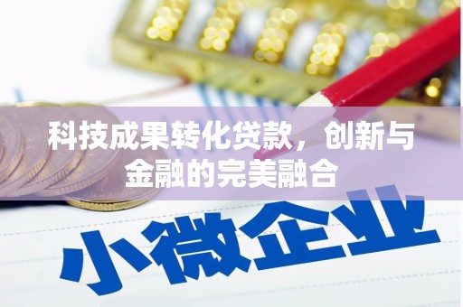 布袋科技成果转化贷款，创新与金融的完美融合