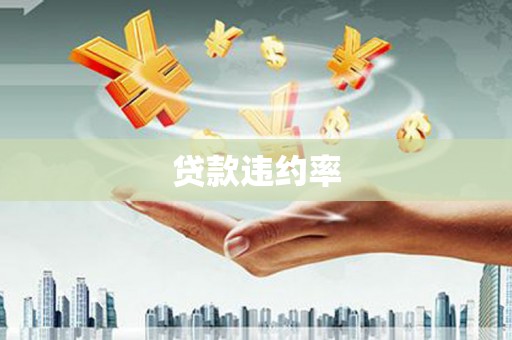 布袋贷款违约率