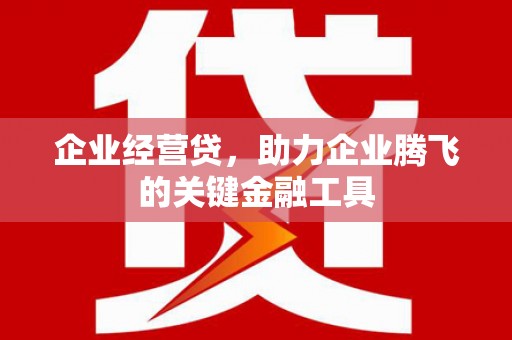 布袋企业经营贷，助力企业腾飞的关键金融工具