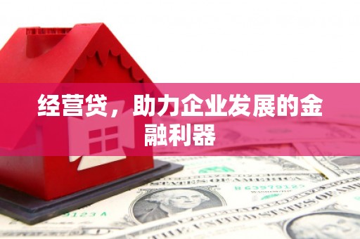 布袋经营贷，助力企业发展的金融利器