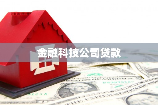 布袋金融科技公司贷款
