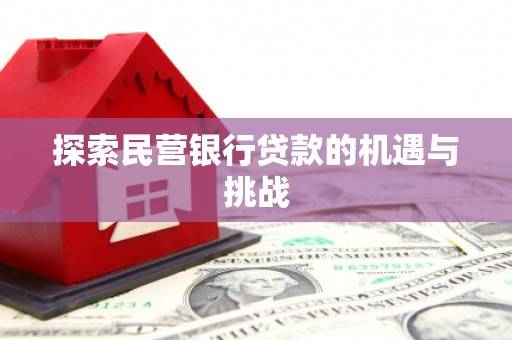 布袋探索民营银行贷款的机遇与挑战