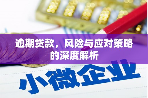 布袋逾期贷款，风险与应对策略的深度解析