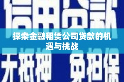 布袋探索金融租赁公司贷款的机遇与挑战