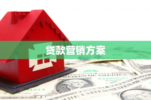 布袋贷款营销方案