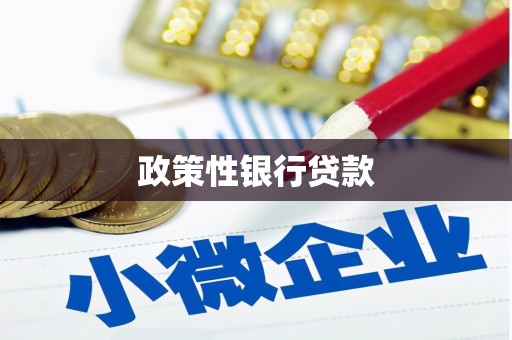 布袋政策性银行贷款