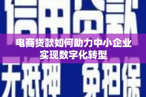 布袋电商贷款如何助力中小企业实现数字化转型