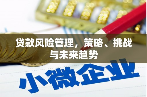 布袋贷款风险管理，策略、挑战与未来趋势
