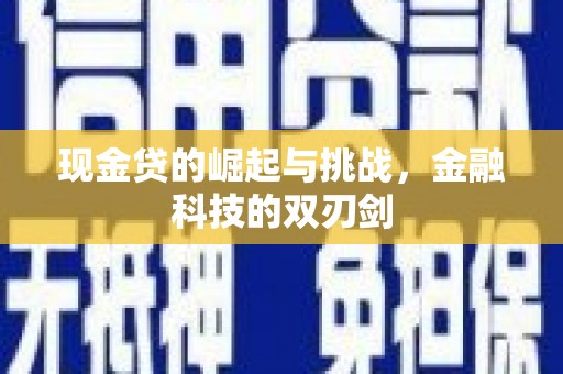 布袋现金贷的崛起与挑战，金融科技的双刃剑