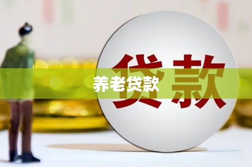 布袋养老贷款