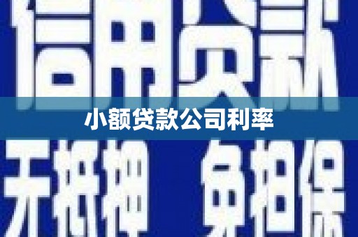 布袋小额贷款公司利率