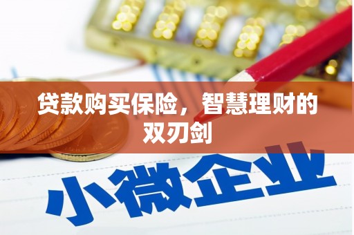 布袋贷款购买保险，智慧理财的双刃剑