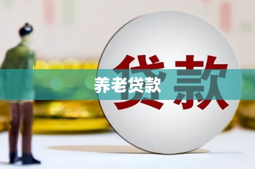 布袋养老贷款