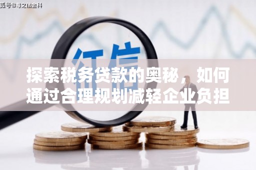布袋探索税务贷款的奥秘，如何通过合理规划减轻企业负担