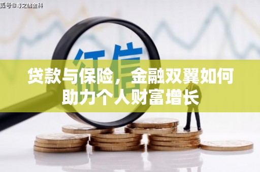 布袋贷款与保险，金融双翼如何助力个人财富增长
