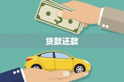 布袋贷款还款