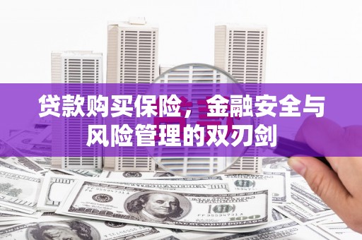 布袋贷款购买保险，金融安全与风险管理的双刃剑