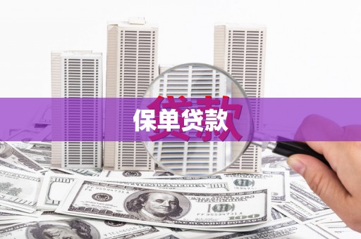 布袋保单贷款