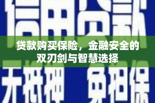 布袋贷款购买保险，金融安全的双刃剑与智慧选择