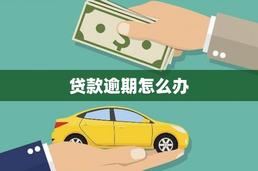 布袋贷款逾期怎么办