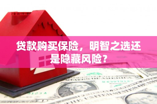 布袋贷款购买保险，明智之选还是隐藏风险？