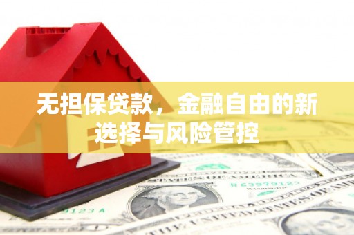 布袋无担保贷款，金融自由的新选择与风险管控