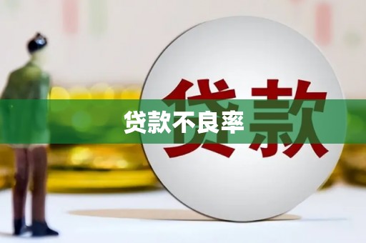 布袋贷款不良率